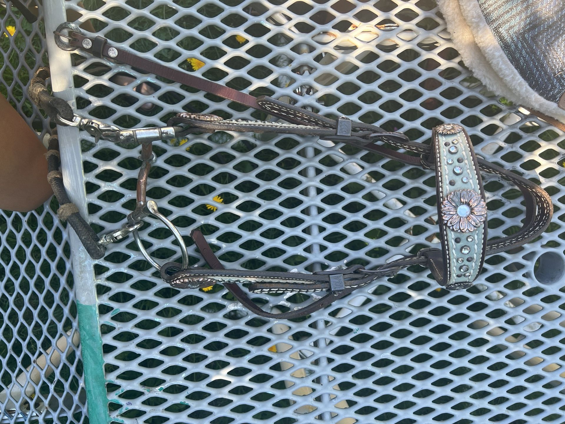 Horse Tack for Sale in Woodinville, WA OfferUp