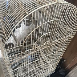 Bird Cages / Jaula Para Aves 