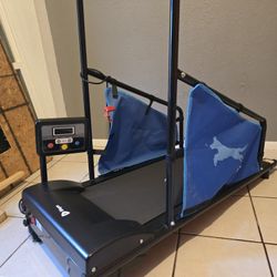 Dog Treadmill