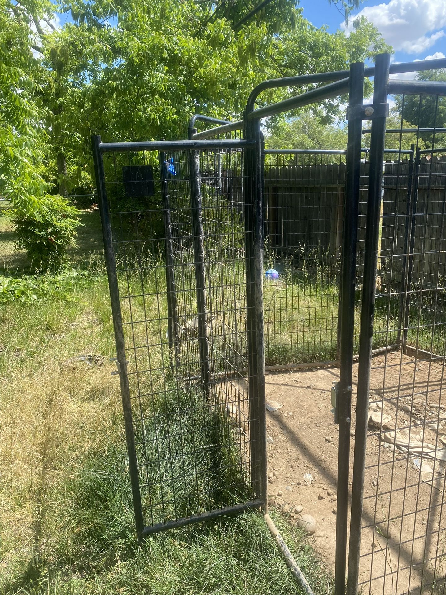 Dog Cage
