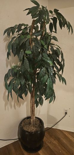 Fake Ficus tree