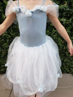 Cinderella dance costume