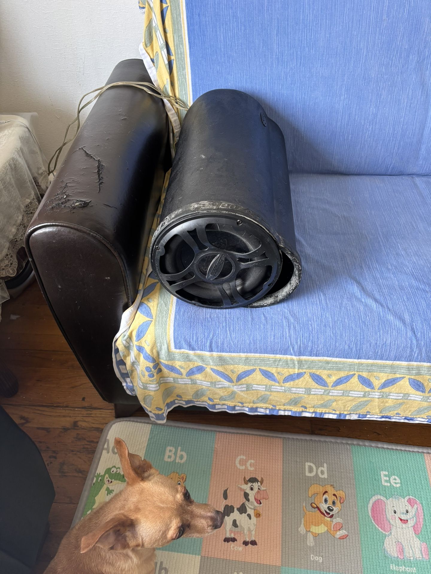 Bazooka Bass Subwoofer Tube With Amp