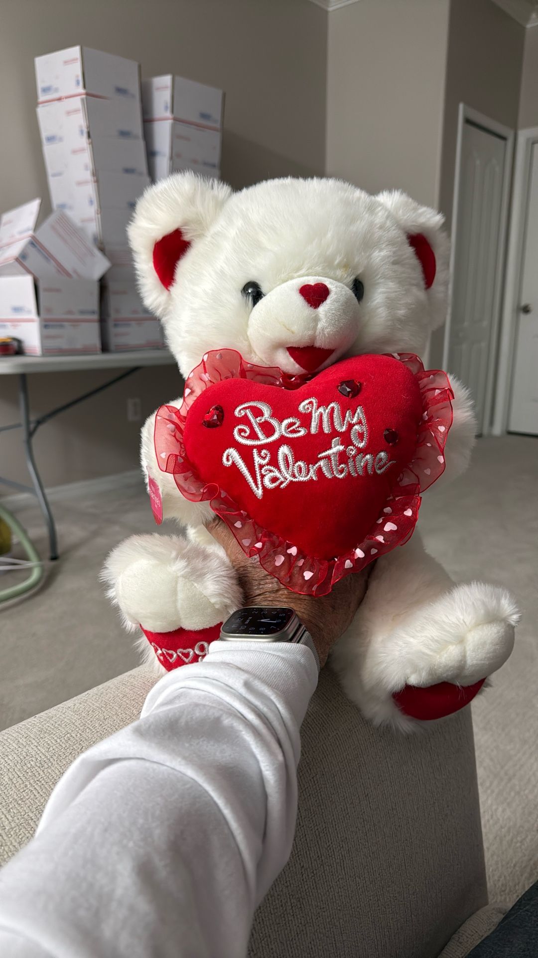 Teddy Bear White Be My Valentine’s Heart.