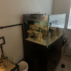 Red Sea G2 Reef Aquarium Fish Tank