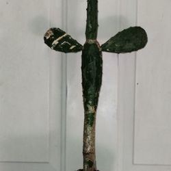 Tuna Cactus 🌵 Plant 