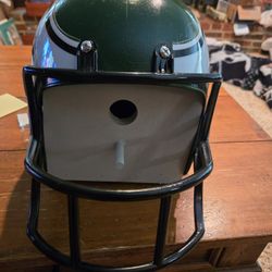 Hand Crafted Philadelphia Eagles Bird House 