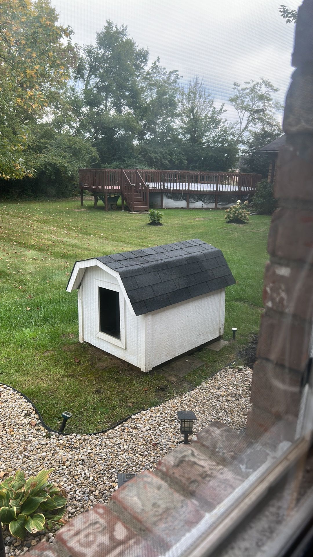 Xl Dog House