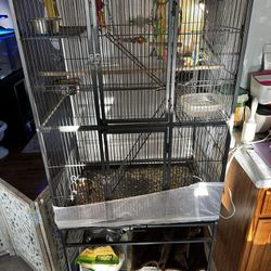Bird Cage ( MUST GO)