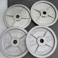 Steel Plates Standard 45 Pairs 