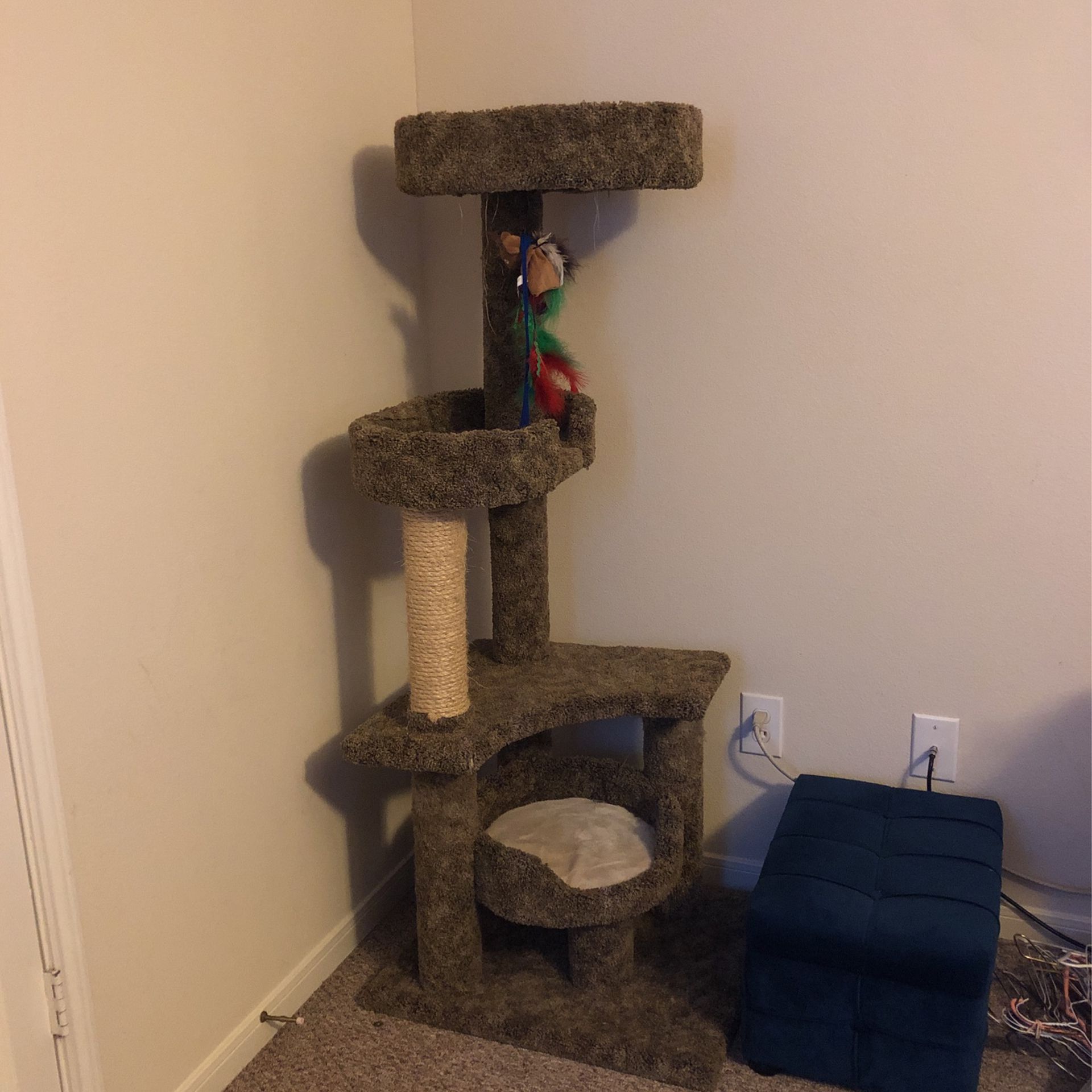 Cat Climbing Tower 