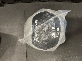 25lb wall ball