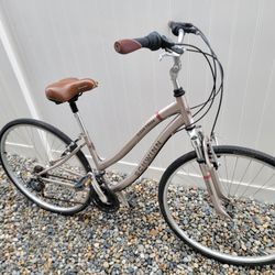 Schwinn bike