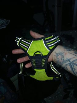 Green Reflective Dog Harness