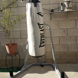 Punching Bag