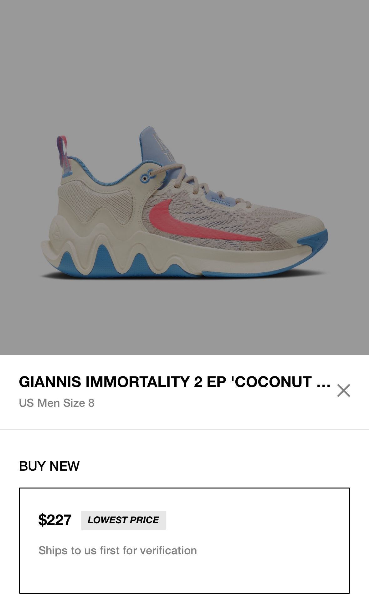 Nike Shoe