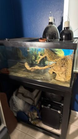 Reptile tank