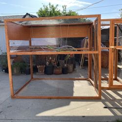 Bird Cage / Aviary / Kennels 