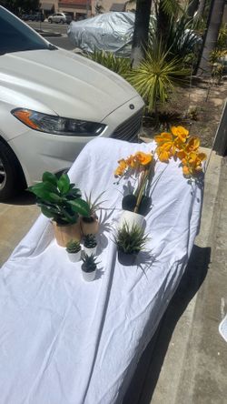 Artificial plants