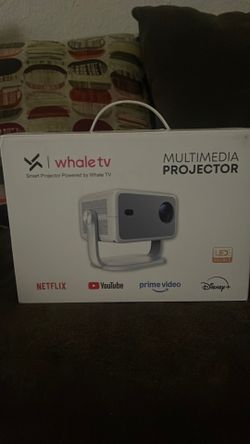 Multimedia projector