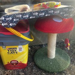 Cat Essentials 