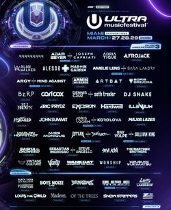 Ultra Miami Sunday Ticket