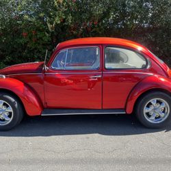 1971 Volkswagen Beetle