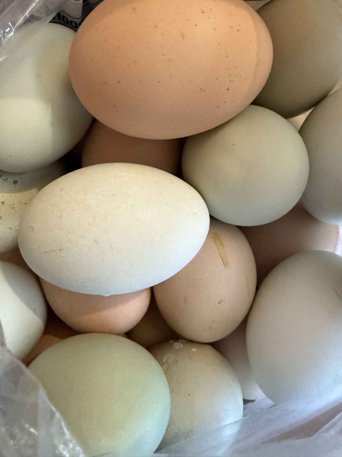 FRESH ORGANIC FARM EGGS $6