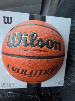 Wilson mens evolution indoor basketball