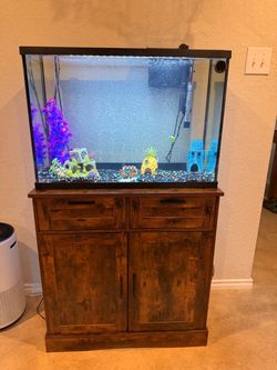 Fish tank and stand