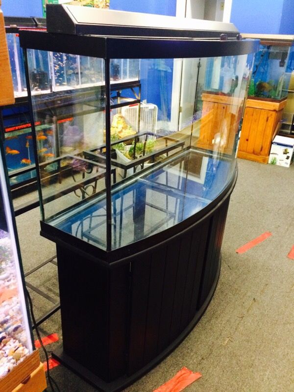 90 gallon Bow front Aquarium fish tank for Sale in Philadelphia, PA -  OfferUp