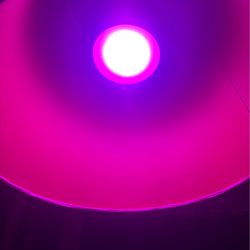 Indoor purple grow light