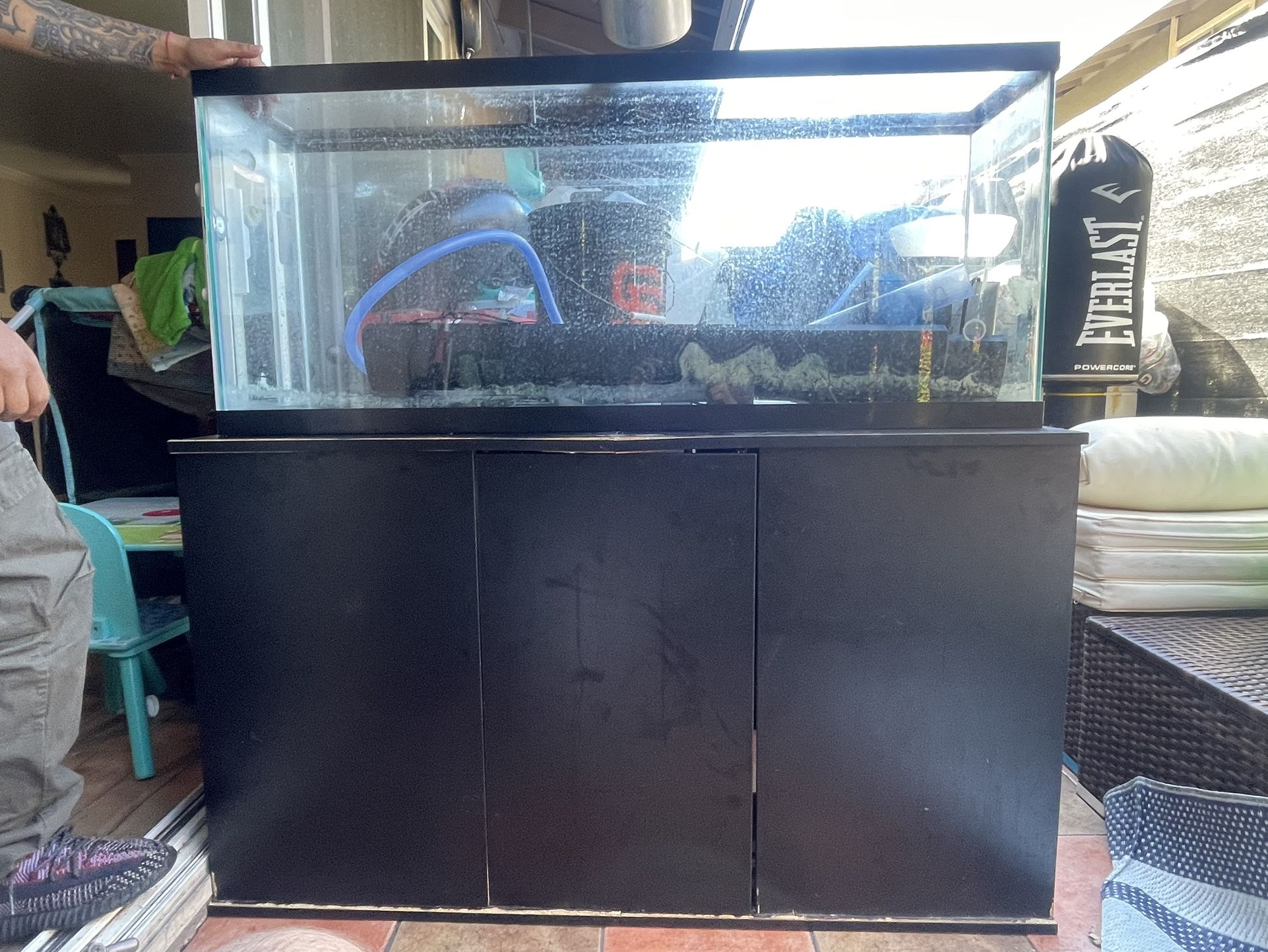 Fish Tank and Stand 