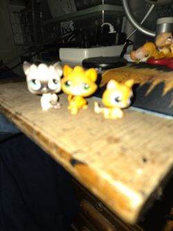 Littlest pet shop