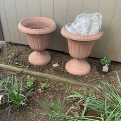 Flower Planters 