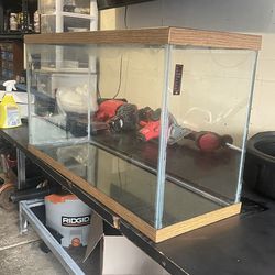 Fish Tank With Accessories