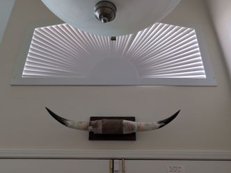 Bullhorns