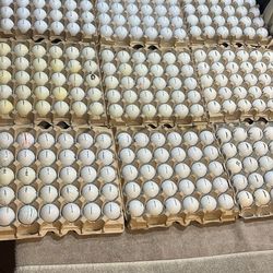 Bridgestone & Precept Golf Balls