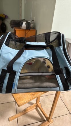 Cat   carrying case .
