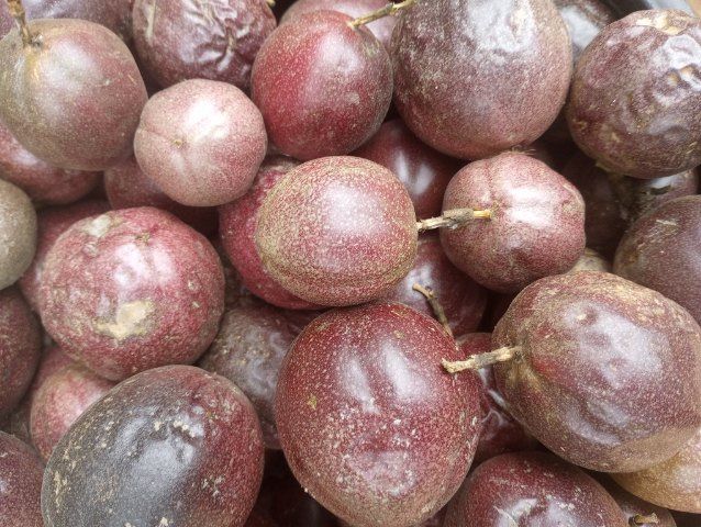 Passion Fruit
