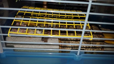 Hermit cage
