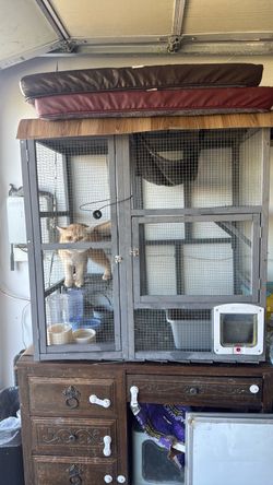 Cat house/condo cage
