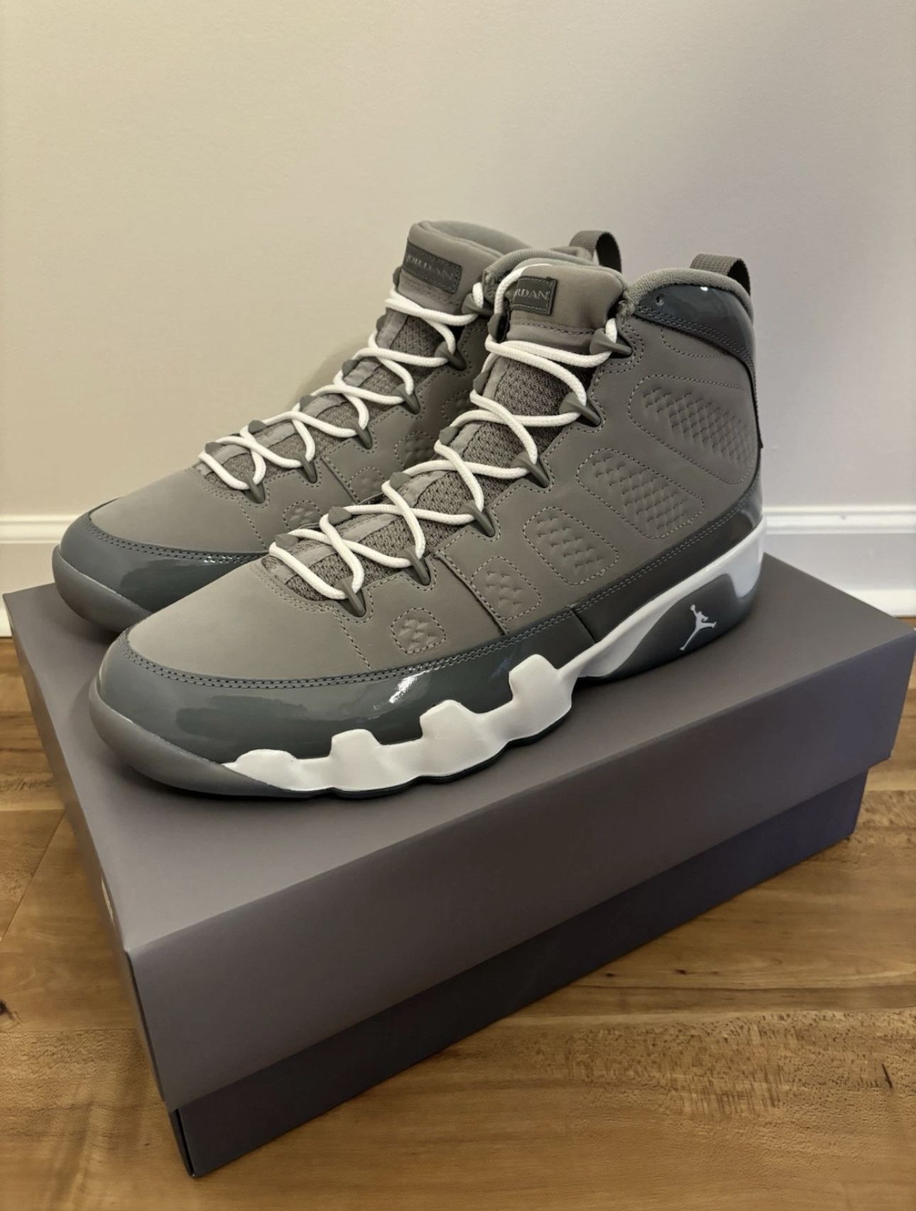 Cool Grey 9 Jordan 2025