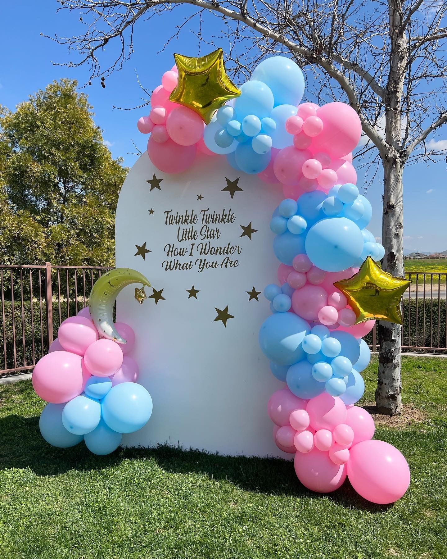 Gender Reveal Decorations 