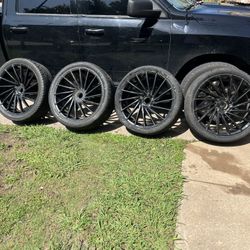 Asanti Black Label 24