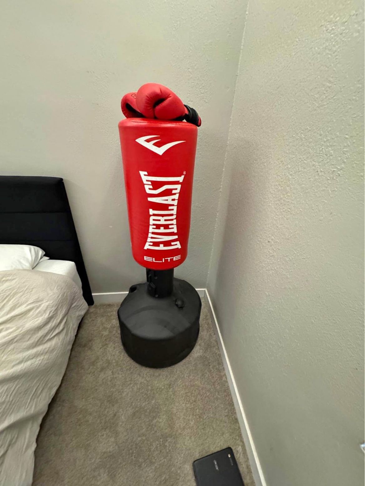 Punching Bag