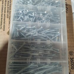 Electrician's Assortmented Number 6 Screws