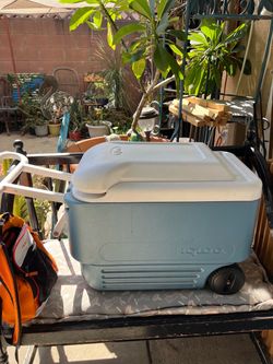 Igloo Rolling Cooler with Handle