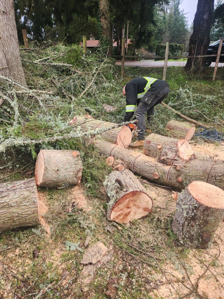 Firewood