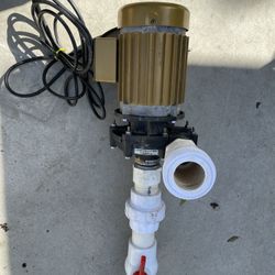 Hammerhead Pump on Reefio Motor